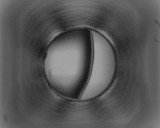 X0000093151289200709261009