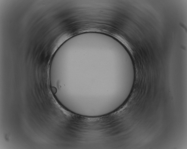 X0000093151290200709261009