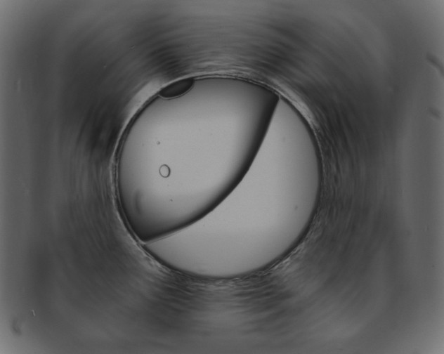 X0000093151291200709261009