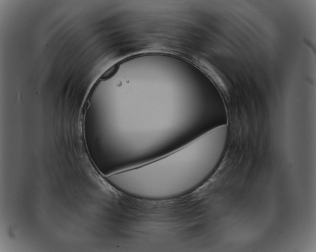 X0000093151292200709261009