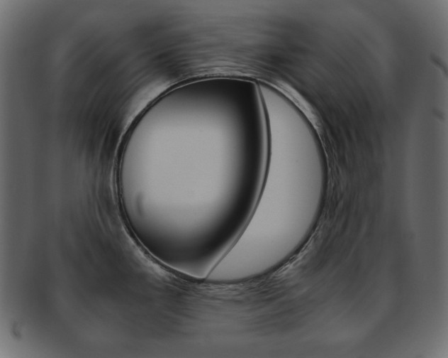 X0000093151293200709261009