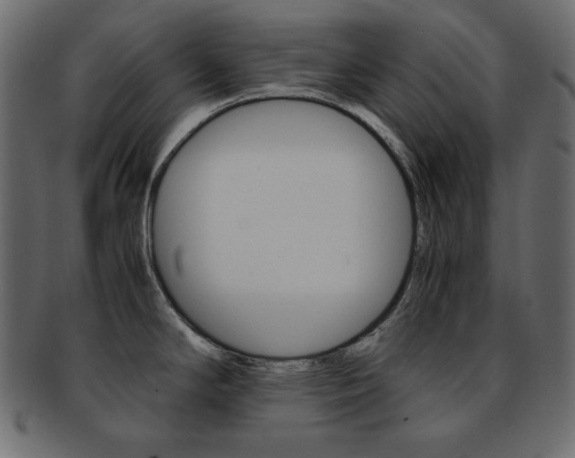 X0000093151294200709261009