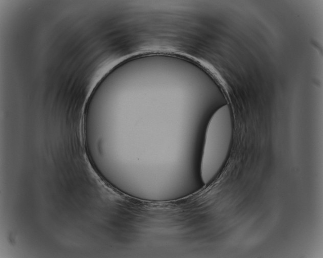X0000093151295200709261009