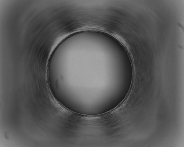 X0000093151296200709261009