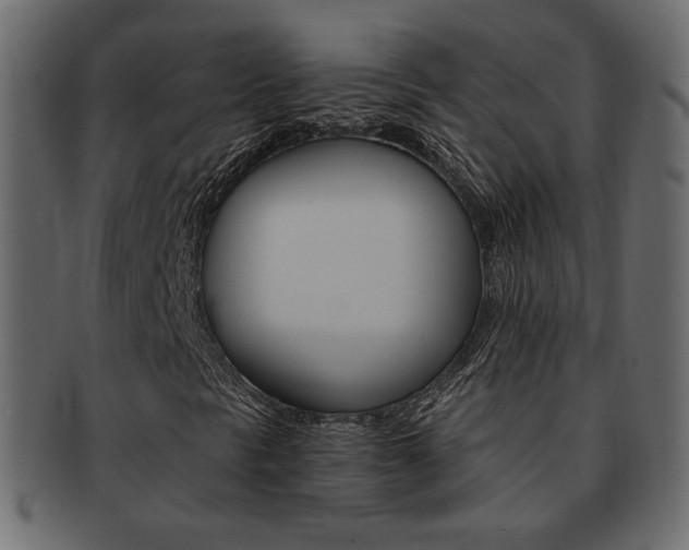 X0000093151297200709261008