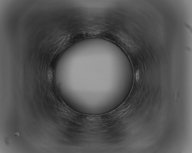 X0000093151299200709261008