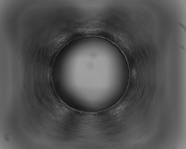 X0000093151300200709261008