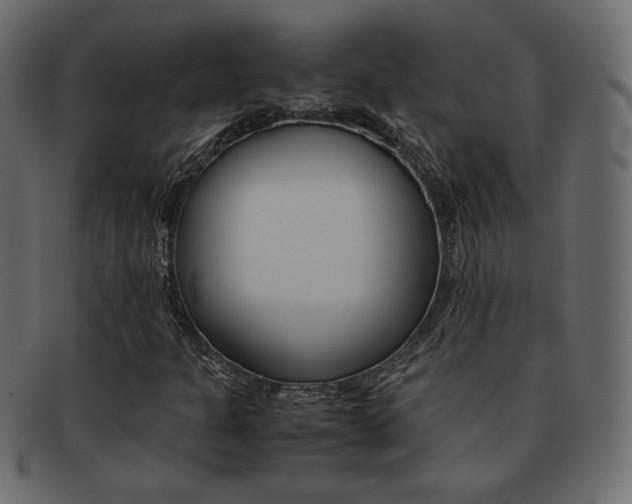 X0000093151301200709261008