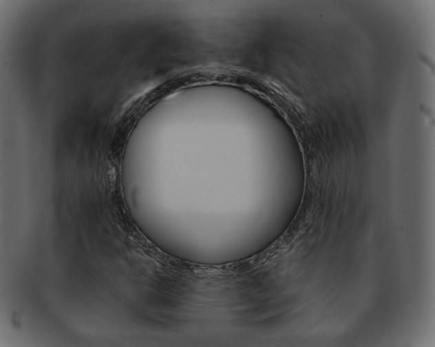 X0000093151302200709261008