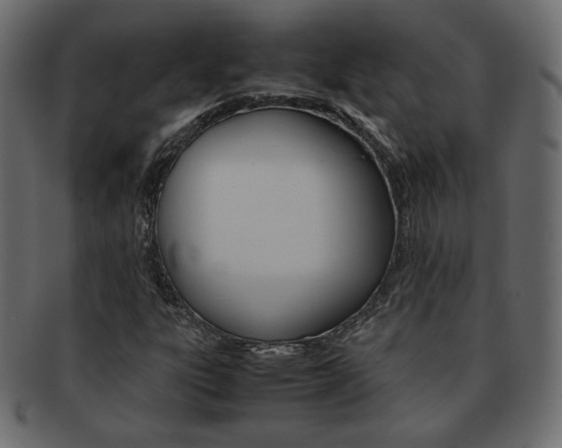 X0000093151303200709261008