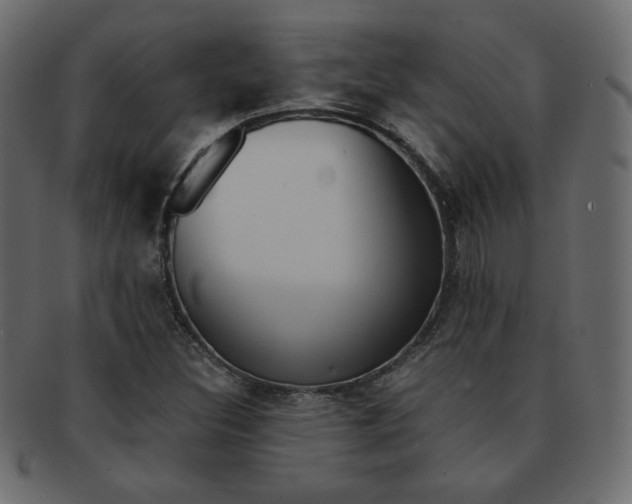 X0000093151308200709261008