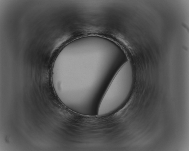 X0000093151309200709261008