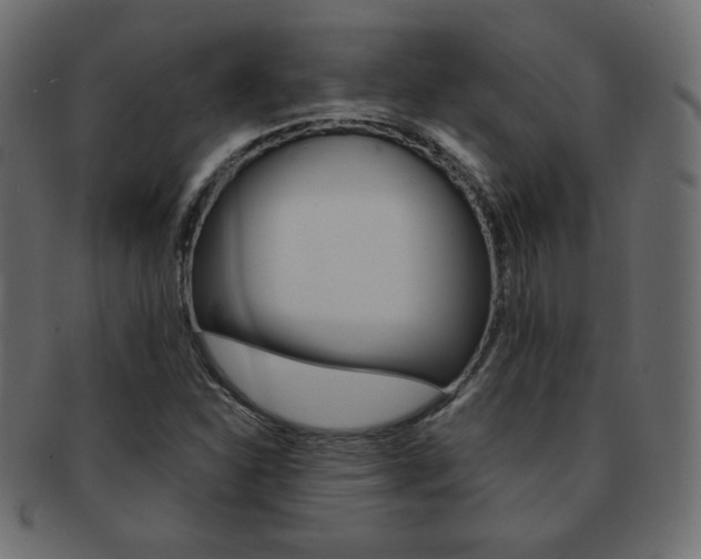 X0000093151310200709261008