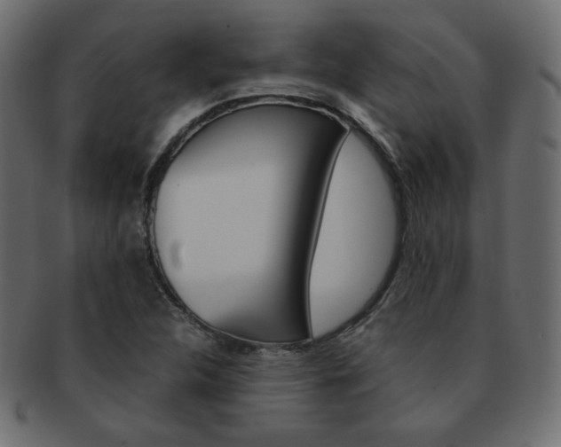 X0000093151312200709261008