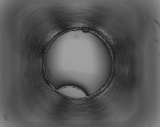 X0000093151313200709261008