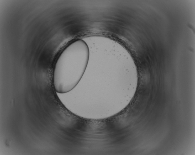 X0000093151314200709261008