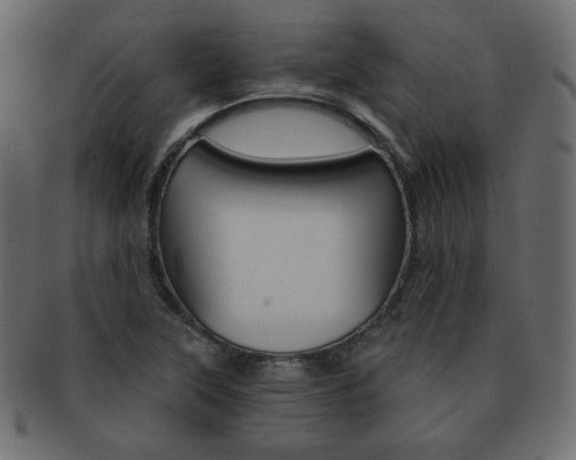 X0000093151315200709261008
