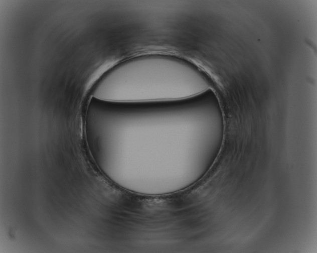 X0000093151317200709261008