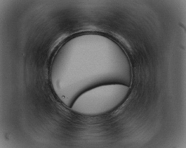 X0000093151318200709261008