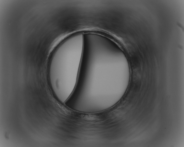 X0000093151319200709261008