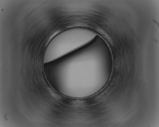X0000093151321200709261008