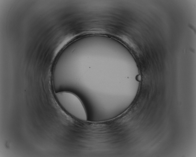 X0000093151325200709261008