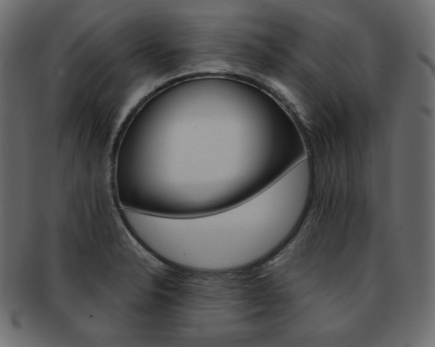 X0000093151326200709261008