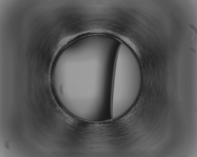 X0000093151327200709261008