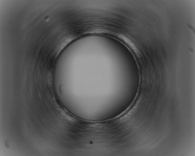 X0000093151329200709261008