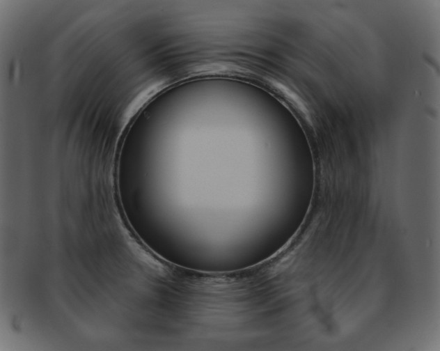 X0000093151330200709261008