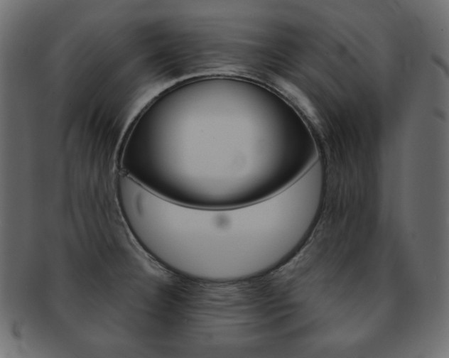 X0000093151332200709261008