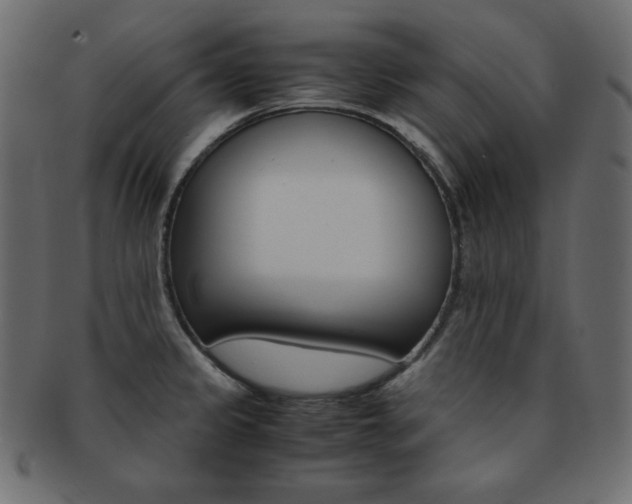 X0000093151333200709261008