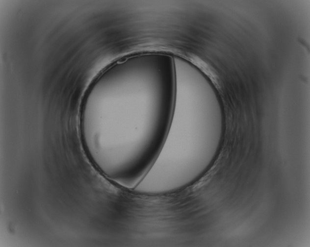 X0000093151334200709261009