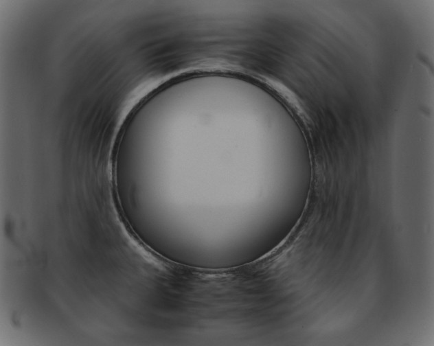 X0000093151335200709261009