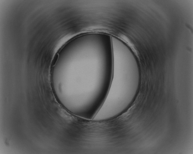 X0000093151336200709261009