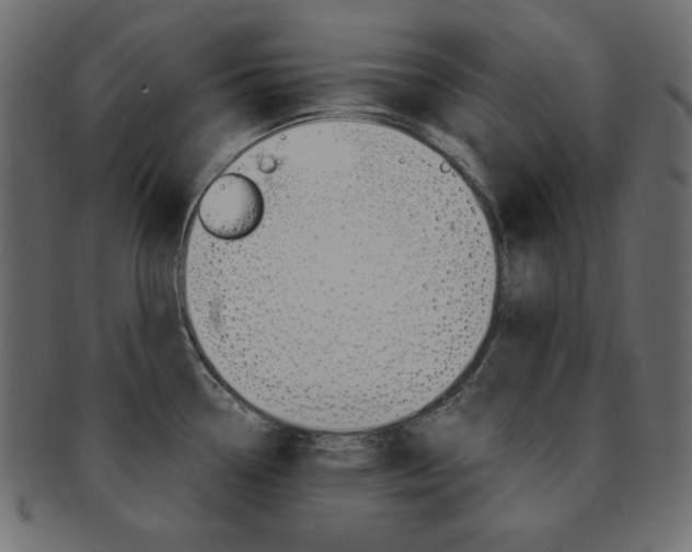 X0000093151338200709261009