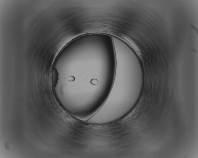 X0000093151340200709261009