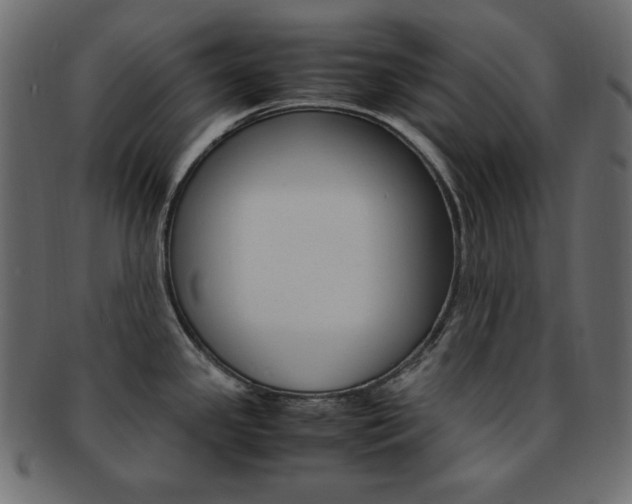 X0000093151341200709261009
