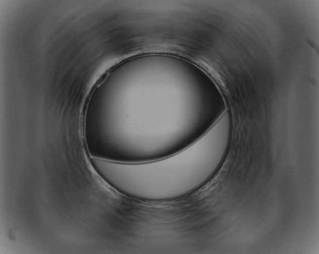 X0000093151342200709261009