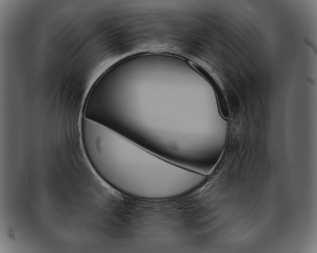 X0000093151343200709261009
