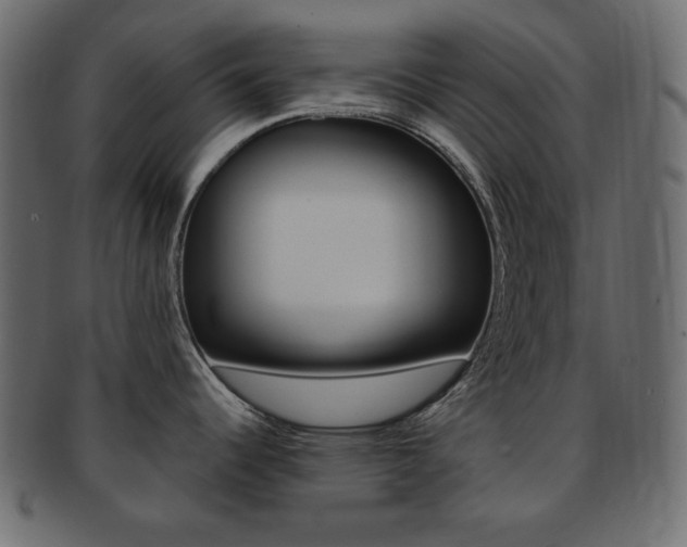 X0000093151344200709261009