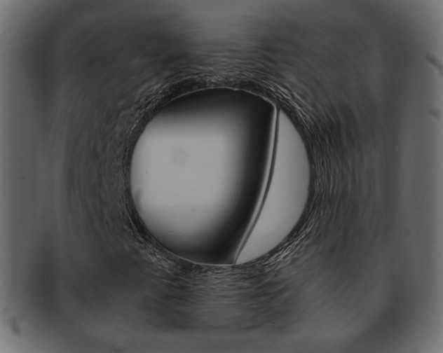 X0000093151345200709261008