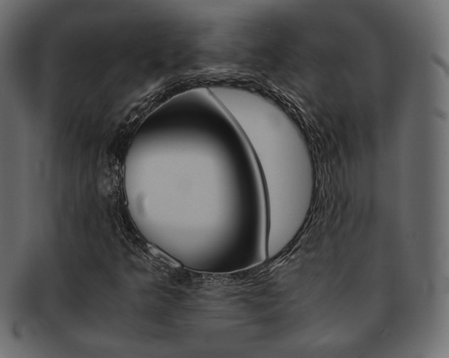 X0000093151349200709261008