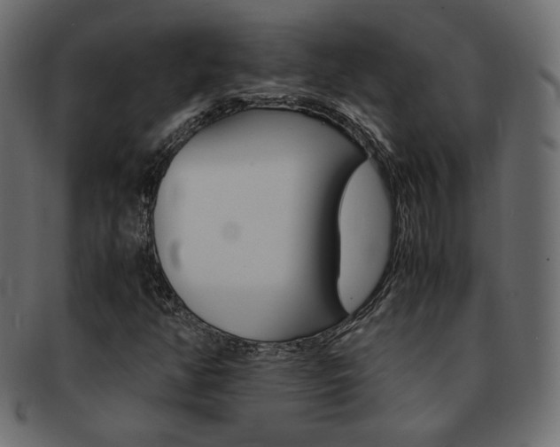 X0000093151350200709261008