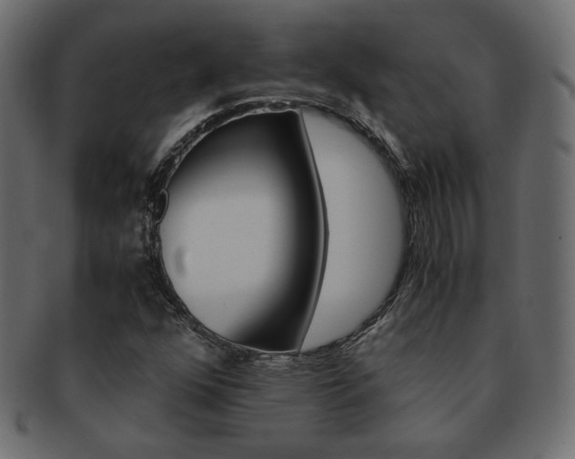 X0000093151352200709261008