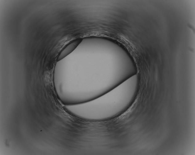 X0000093151353200709261008