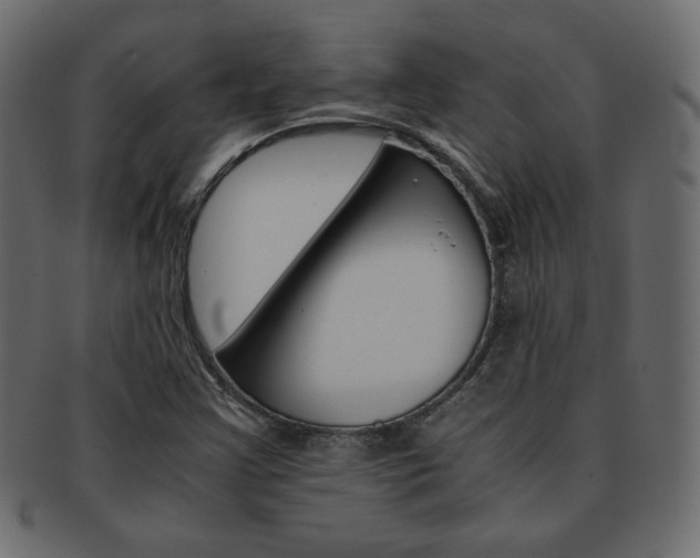 X0000093151355200709261008