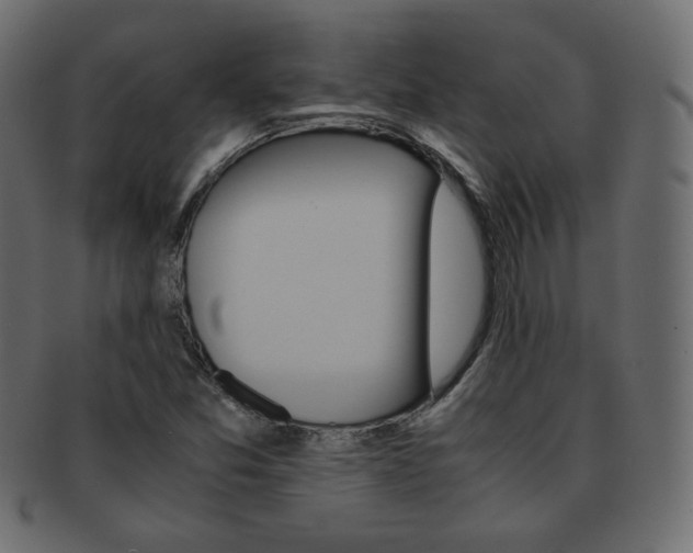 X0000093151357200709261008