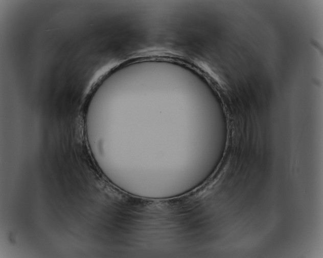 X0000093151358200709261008