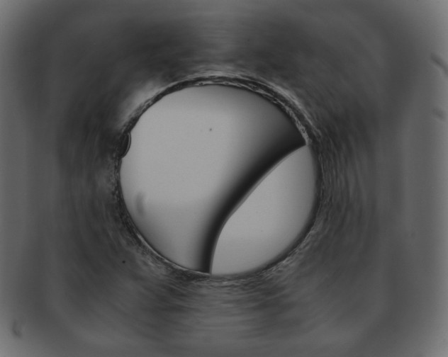 X0000093151359200709261008